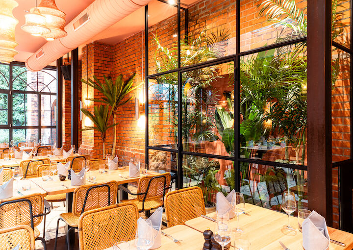 Modern winter garden detail with tables, brick wall, plants and parrot