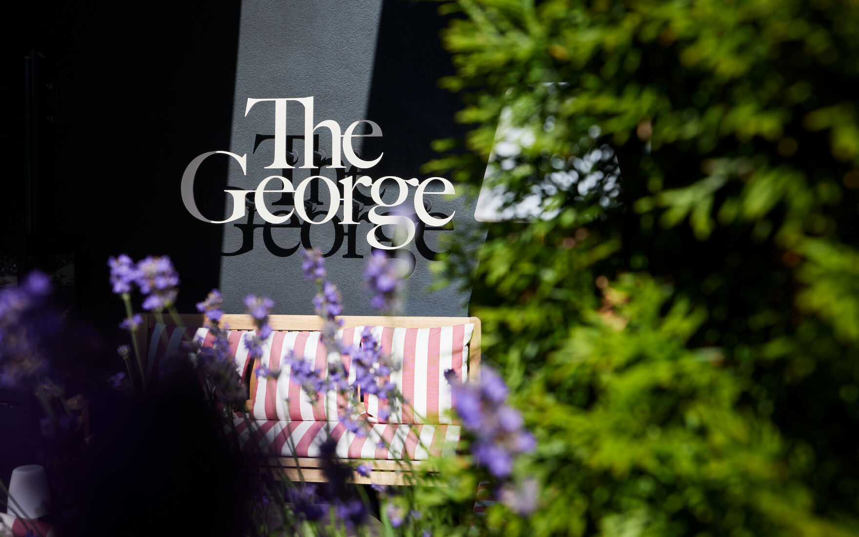 The George hotel logo partly hidden behind lavender